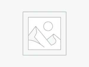 Saloon Edition Vol.1